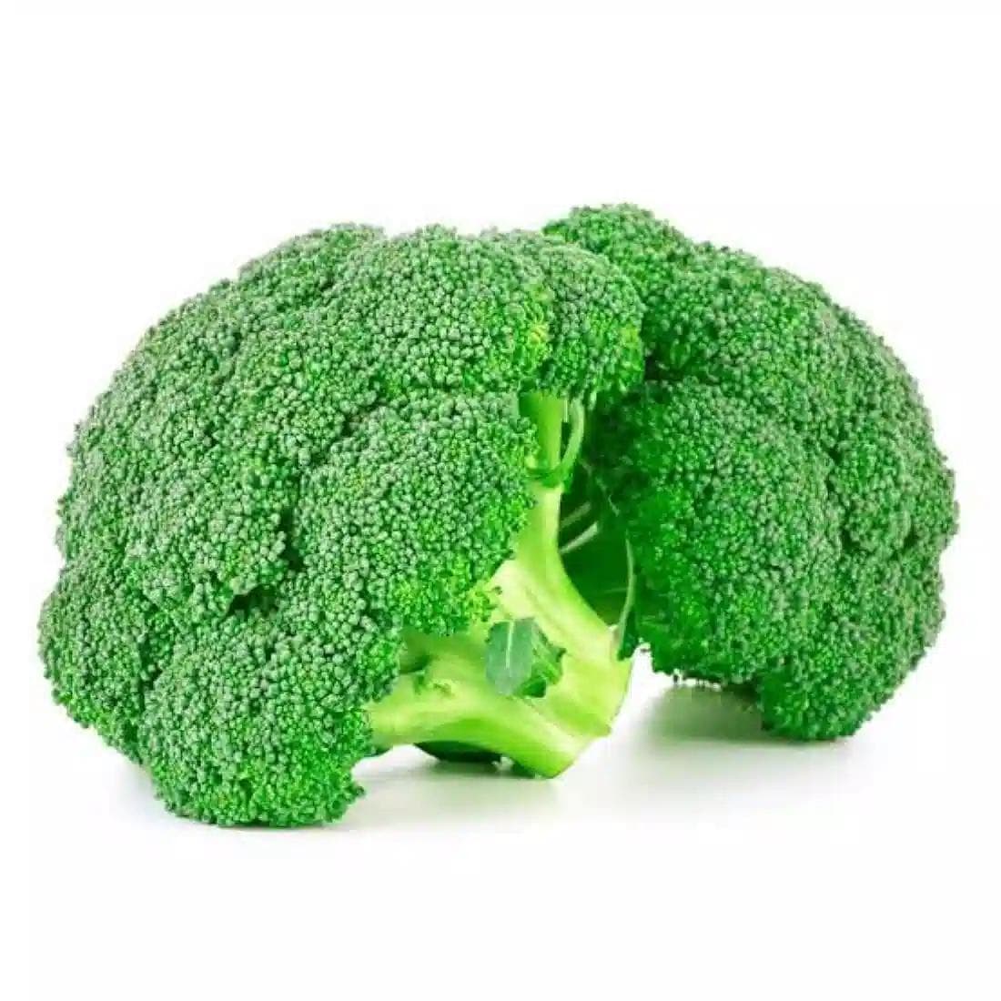 BROCCOLI GREENPIA 10G