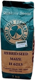 HB MAIZE 6213 2KG