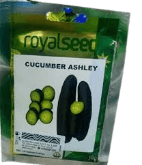 CUCUMBER ASHLEY royal