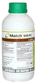 LAYER EXTRA WSP 500G