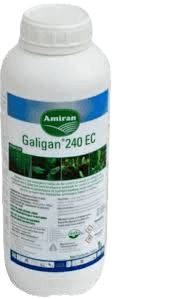 GALIGAN 1 Ltr