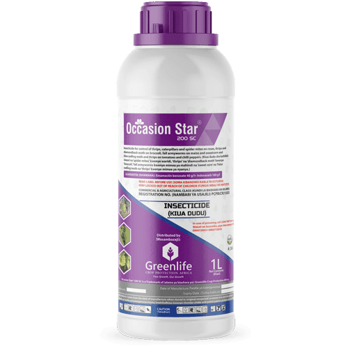 OCCASION STAR 250ML