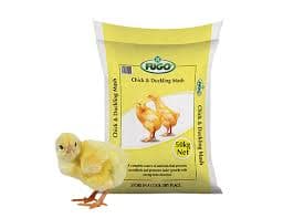 CHICK MASH FUGO 25KG