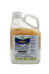 Thunder 145 OD - 100ml