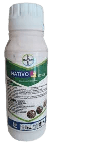 NATIVO 500ML