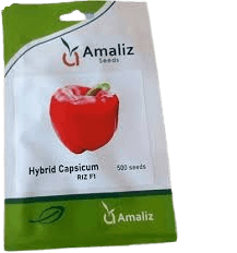 HYBRID CAPSICUM RIZ F1 100S