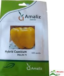 HYBRID CAPSICUM MALIN F1 100S