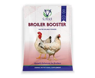 BROILER BOOSTER 500GMS
