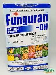 FUNGURAN 1KG