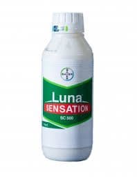 LUNA SENSATION 500ML